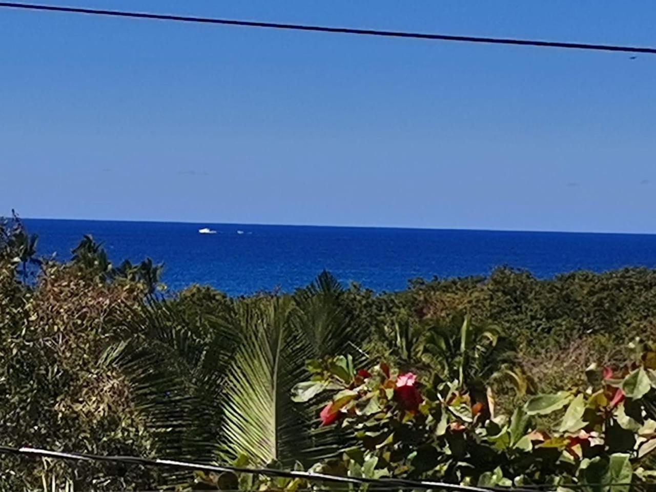 Hotel Quinta Mar Y Selva Chacala  Buitenkant foto