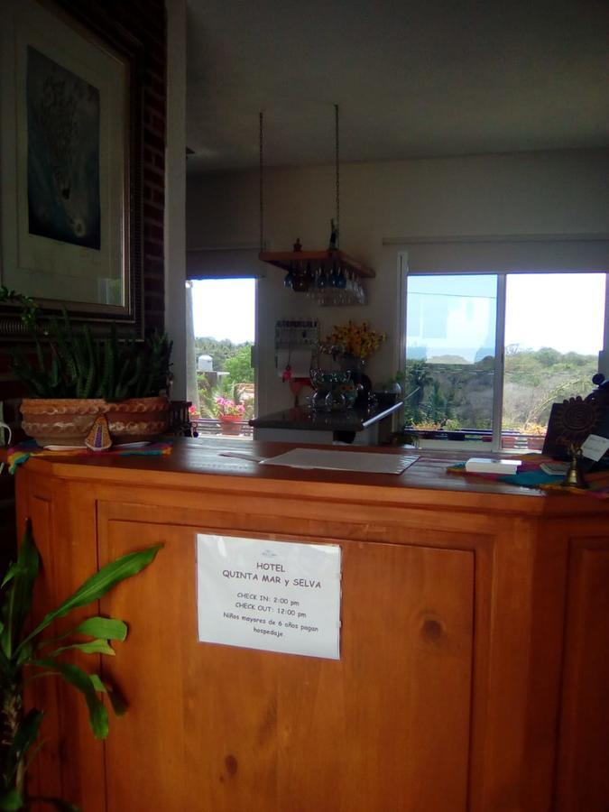 Hotel Quinta Mar Y Selva Chacala  Buitenkant foto